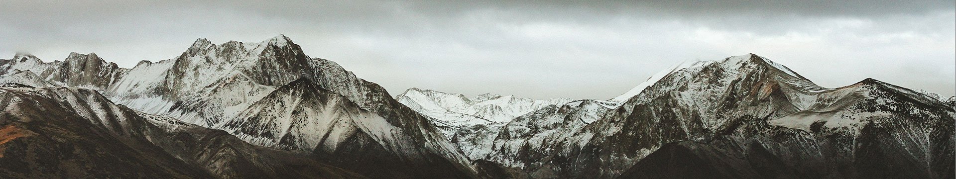 contact-banner